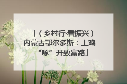 （乡村行·看振兴）内蒙古鄂尔多斯：土鸡“啄”开致富路