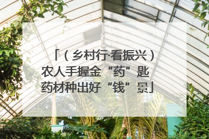 （乡村行·看振兴）农人手握金“药”匙 药材种出好“钱”景