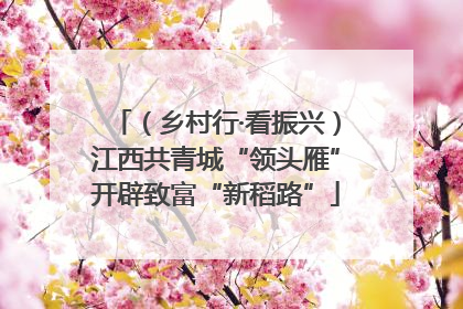 （乡村行·看振兴）江西共青城“领头雁”开辟致富“新稻路”