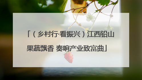 （乡村行·看振兴）江西铅山果蔬飘香 奏响产业致富曲