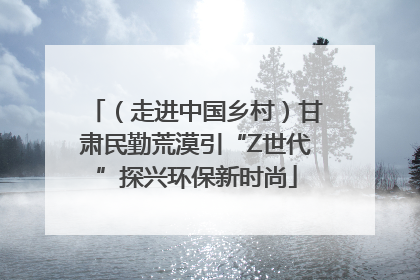 （走进中国乡村）甘肃民勤荒漠引“Z世代”探兴环保新时尚
