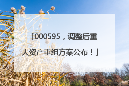 000595，调整后重大资产重组方案公布！