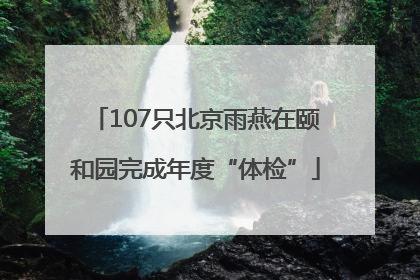 107只北京雨燕在颐和园完成年度“体检”
