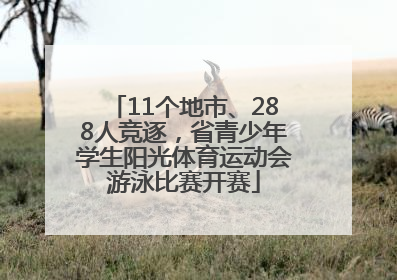 11个地市、288人竞逐，省青少年学生阳光体育运动会游泳比赛开赛