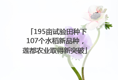 195亩试验田种下107个水稻新品种，莲都农业取得新突破