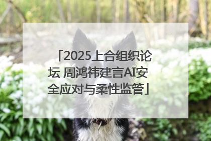 2025上合组织论坛 周鸿祎建言AI安全应对与柔性监管