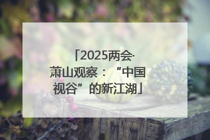 2025两会·萧山观察：“中国视谷”的新江湖