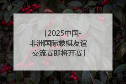 2025中国-非洲国际象棋友谊交流赛即将开赛