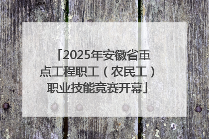 2025年安徽省重点工程职工（农民工）职业技能竞赛开幕