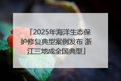 2025年海洋生态保护修复典型案例发布 浙江三地成全国典型
