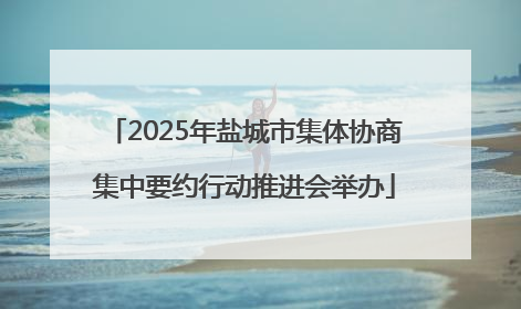 2025年盐城市集体协商集中要约行动推进会举办