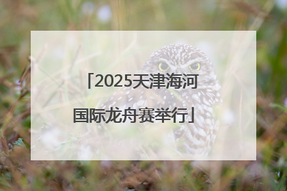 2025天津海河国际龙舟赛举行