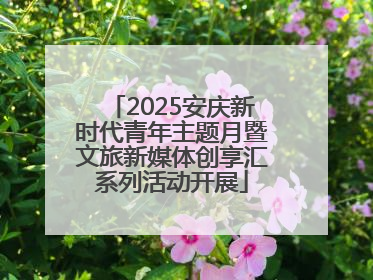 2025安庆新时代青年主题月暨文旅新媒体创享汇系列活动开展