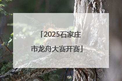 2025石家庄市龙舟大赛开赛