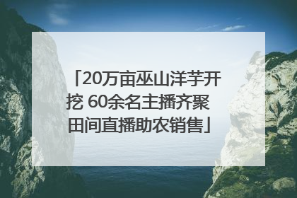 20万亩巫山洋芋开挖 60余名主播齐聚田间直播助农销售