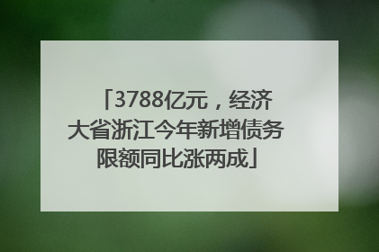 3788亿元，经济大省浙江今年新增债务限额同比涨两成