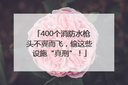 400个消防水枪头不翼而飞，偷这些设施“真刑”！