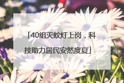40组灭蚊灯上岗，科技助力居民安然度夏