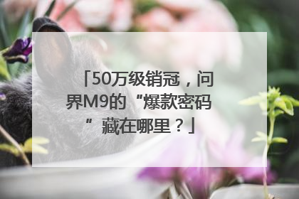 50万级销冠，问界M9的“爆款密码”藏在哪里？