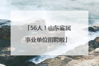 56人！山东省属事业单位招聘啦