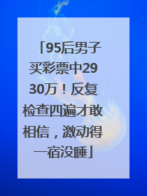 95后男子买彩票中2930万！反复检查四遍才敢相信，激动得一宿没睡