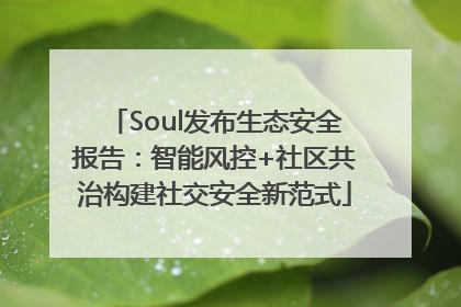 Soul发布生态安全报告：智能风控+社区共治构建社交安全新范式