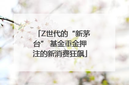Z世代的“新茅台” 基金重金押注的新消费狂飙